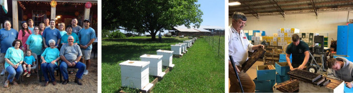 BrokeTHoneyFarm