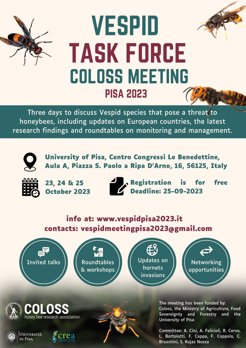 vtf-meeting-2023-flyer